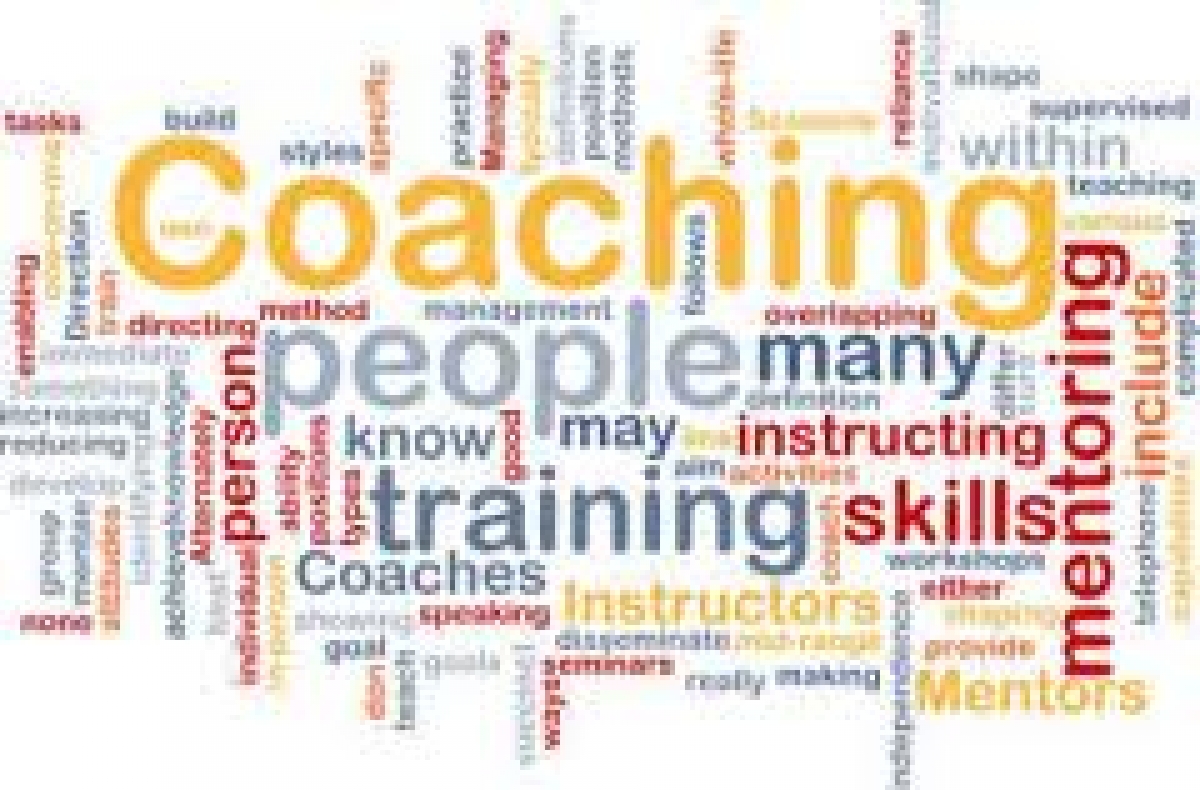 Mentoring as an aid to Management Development